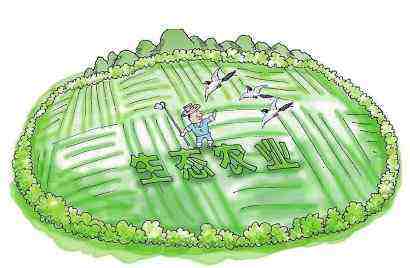 化肥减量秸秆农用 巴中市强化农业面源污染防治