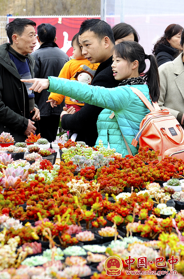 游客在经开区花博会上选花.jpg