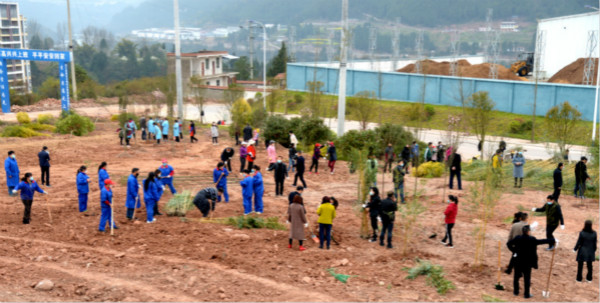 通江：义务植树 护绿增收 助力乡村振兴